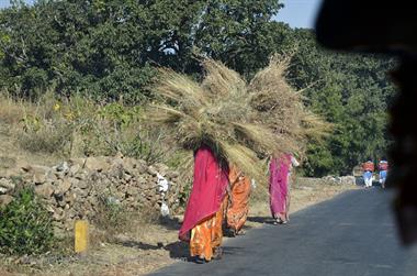 01 PKW-Reise_Udaipur-Ranakpur_DSC4565_b_H600